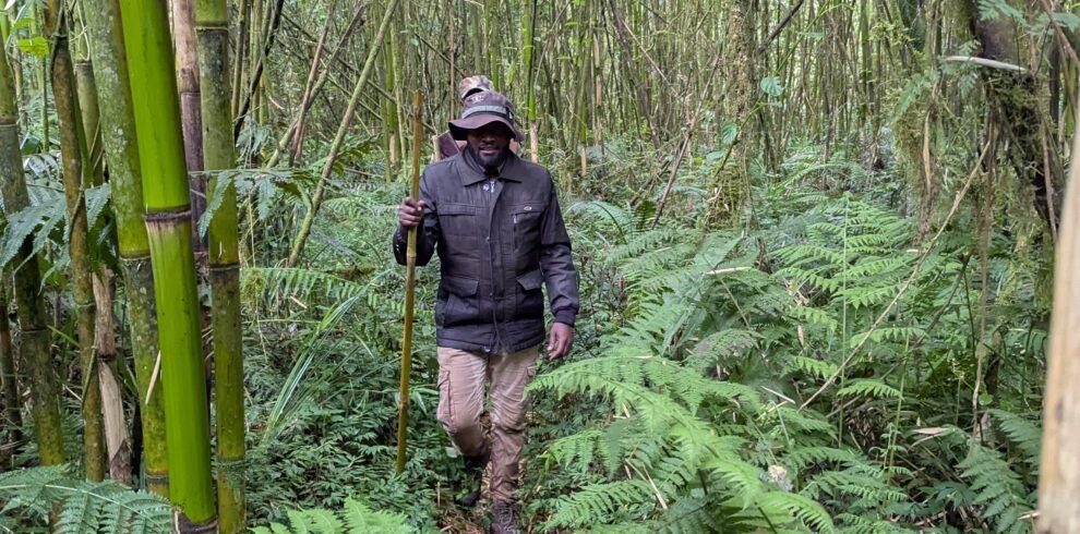 PXL_20251119_070316542.ACTION_PAN-02.ORIGINAL