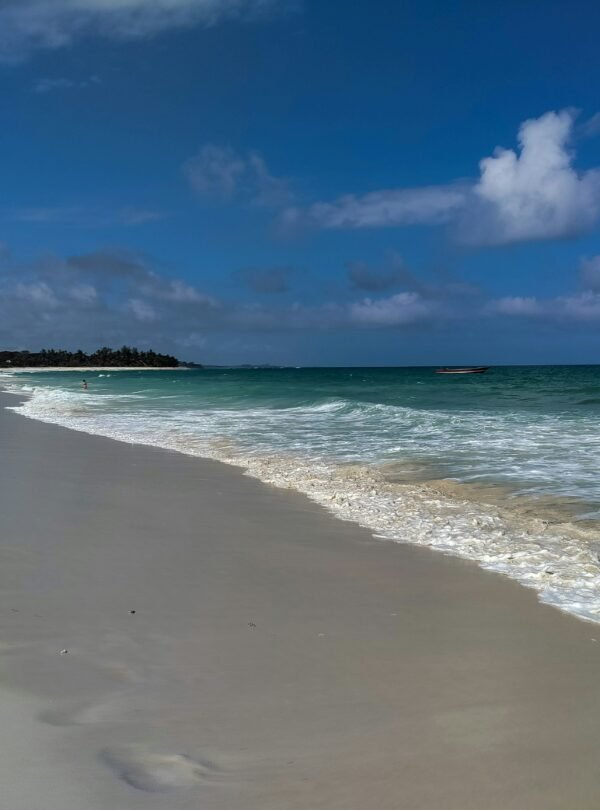 ezekiel-kilimo-m_06_L3cKY0-unsplash