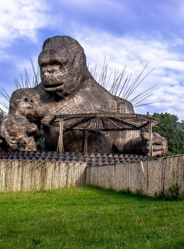 murenzi-emery-riqHVFDBt-8-unsplash